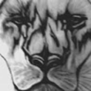 Meet your Posher, Cullen